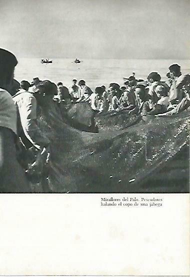 LAMINA 14362:Pescadores en  Miraflores el Palo, Malaga