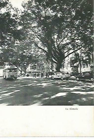 LAMINA 14371: La Alameda de Malaga