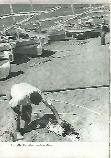LAMINA 14376: Pescador en Marbella, Malaga