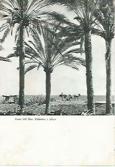 LAMINA 14377: Playa de Torres de Mar, Malaga