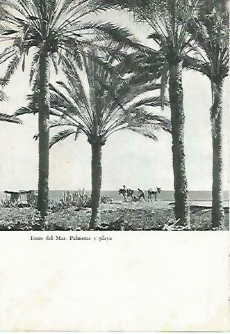 LAMINA 14377: Playa de Torres de Mar, Malaga