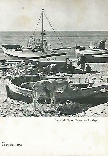 LAMINA 14381: Barcas en Castell de Ferro, Granada