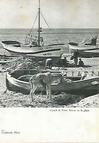 LAMINA 14381: Barcas en Castell de Ferro, Granada