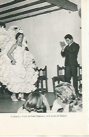 LAMINA 14466: Pareja de flamenco en Madrid