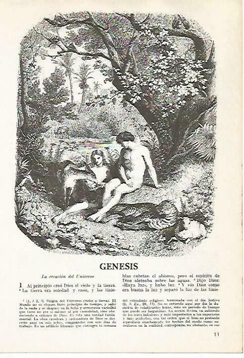 LAMINA 14467: Genesis