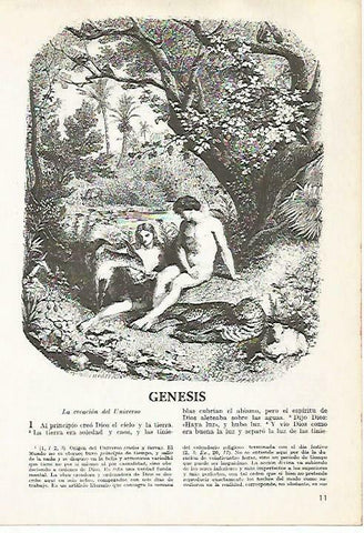 LAMINA 14467: Genesis