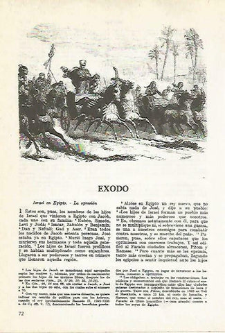 LAMINA 14476: Exodo