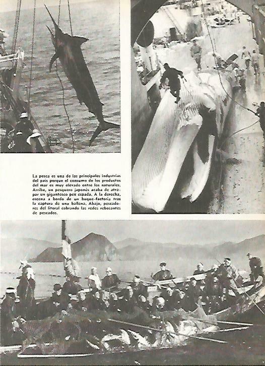 LAMINA 14831: Pesca en Japon