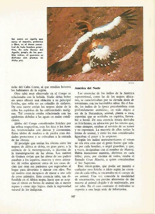 LAMINA 14846: Danza del Aguila