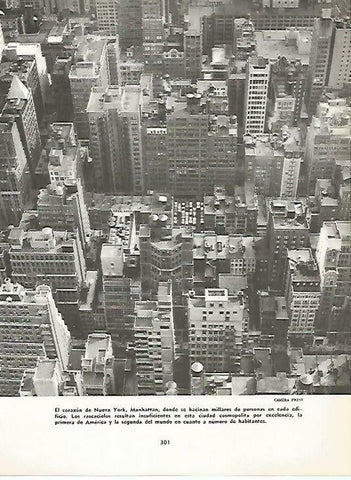 LAMINA 14823: Vista aerea de Manhattan