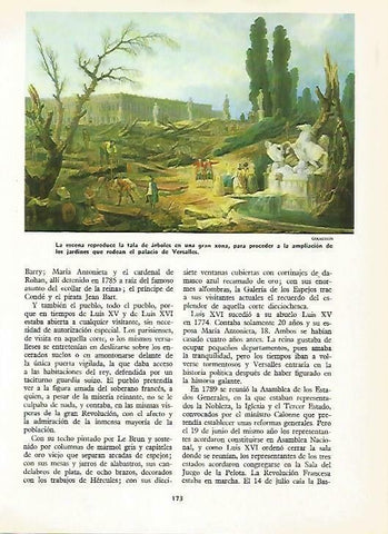 LAMINA 14797: Tala de arboles en Versalles