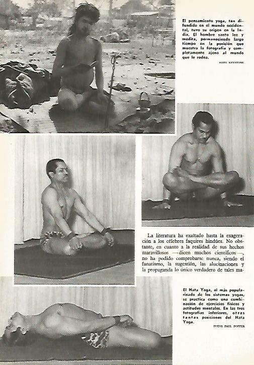 LAMINA 14802: Posiciones de yoga