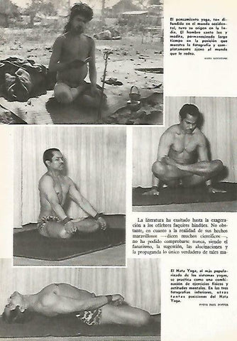 LAMINA 14802: Posiciones de yoga