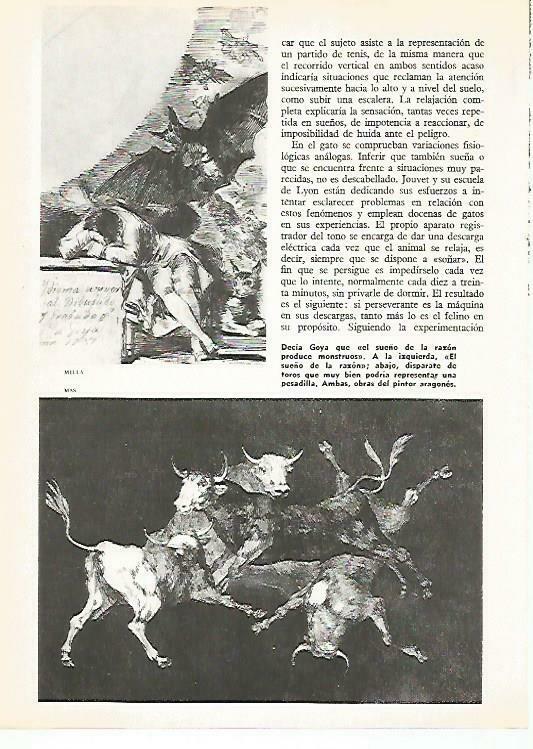 LAMINA 14870: El sueño de la razon y Disparate de toros, por Goya