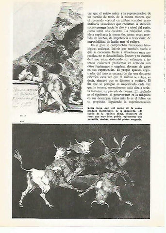 LAMINA 14870: El sueño de la razon y Disparate de toros, por Goya