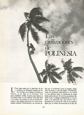 LAMINA 14904: Polinesia