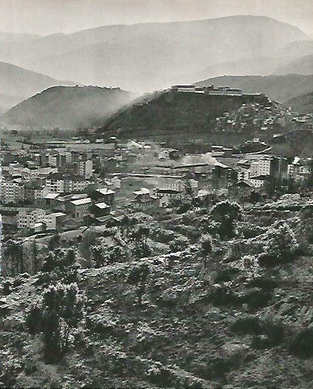 LAMINA 14660: La Seu d'Urgell