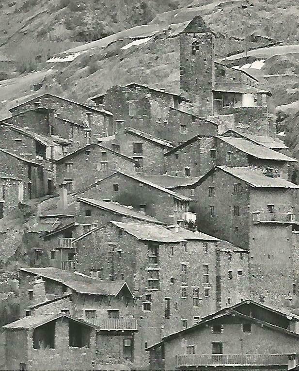 LAMINA 14657: Toloriu