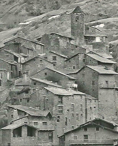 LAMINA 14657: Toloriu