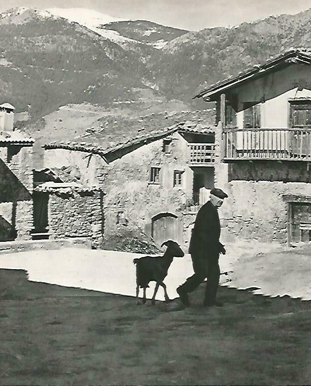 LAMINA 14656: Alos de Civis