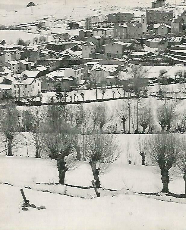 LAMINA 14673: Pueblo del Pirineo