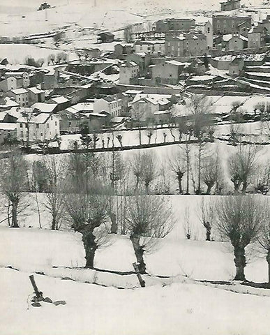 LAMINA 14673: Pueblo del Pirineo