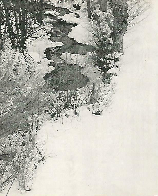 LAMINA 14674: Rio en invierno en el Pirieno