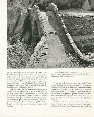 LAMINA 14651: Puente romanico 
