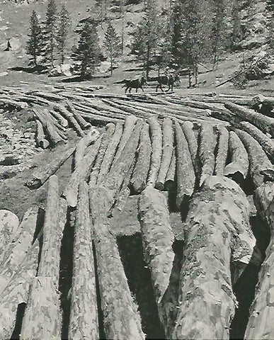 LAMINA 14625: Expoloracion forestal en Aigiamotx