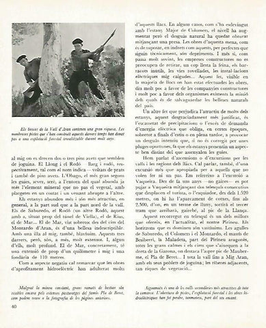 LAMINA 14624: Leñadores del Vall d'Aran
