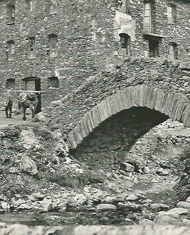 LAMINA 14642: Puente de un pueblo de la Vall de Montgarri