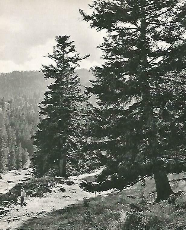 LAMINA 14638: Valle de Cardos