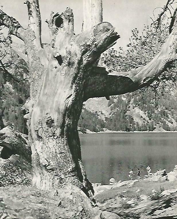 LAMINA 14637: Rio cerca de Sort