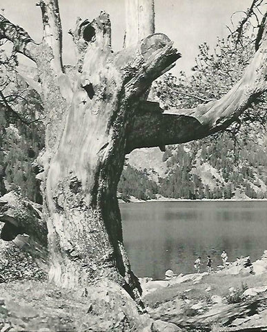 LAMINA 14637: Rio cerca de Sort