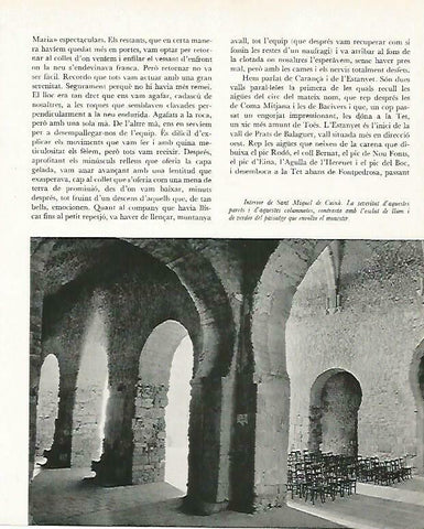 LAMINA 14695: Interior de Sant Miquel de Cuxa, Francia