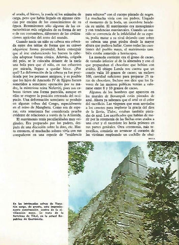 LAMINA 14771: Fortaleza de Tikal, Guatemala