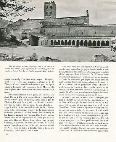 LAMINA 14694: Sant Miquel de Cuxa, Francia
