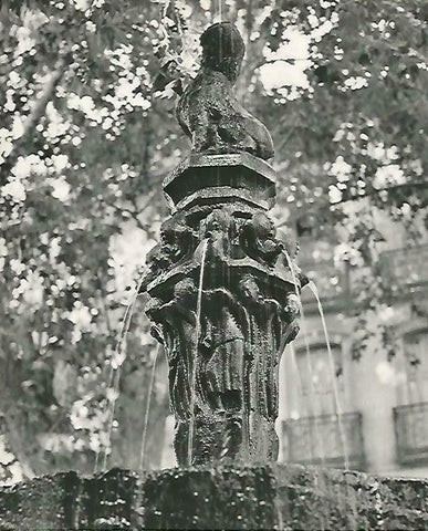 LAMINA 14710: Fuente de Ceret, Francia