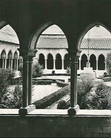 LAMINA 14708: Claustro del Monasterio de Arles