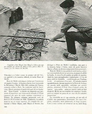LAMINA 14707: Caracolada en Sant Marçal