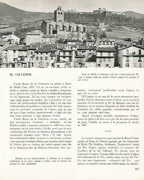 LAMINA 14703: Prats de Mollo