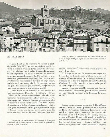 LAMINA 14703: Prats de Mollo