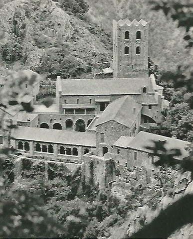 LAMINA 14701: Monasterio de Sant Marti