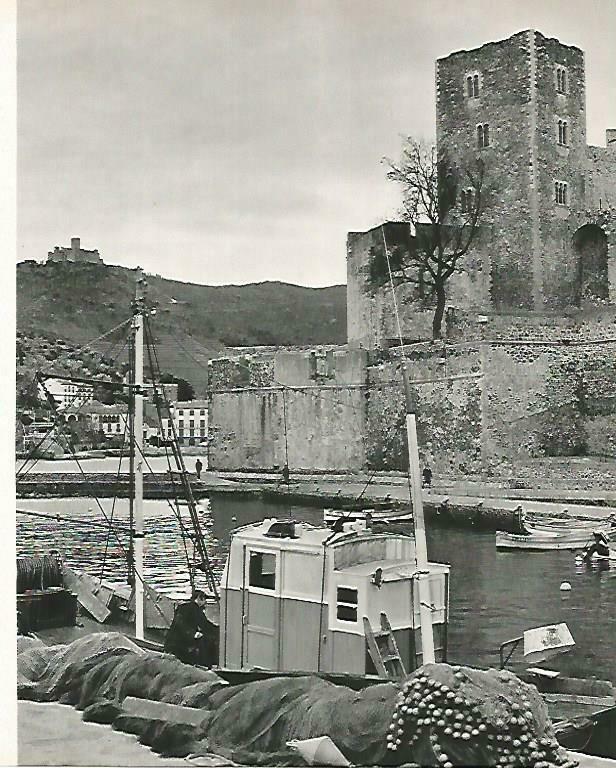 LAMINA 14736: Puerto de Portvendres, Francia