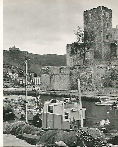 LAMINA 14736: Puerto de Portvendres, Francia