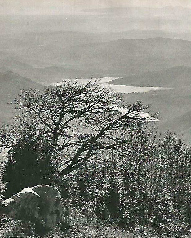 LAMINA 14722: Vista del Pirineo de Girona