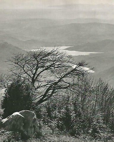 LAMINA 14722: Vista del Pirineo de Girona