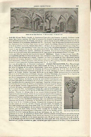 LAMINA ESPASA 33687: Palacio del zar Aleix Micailovich
