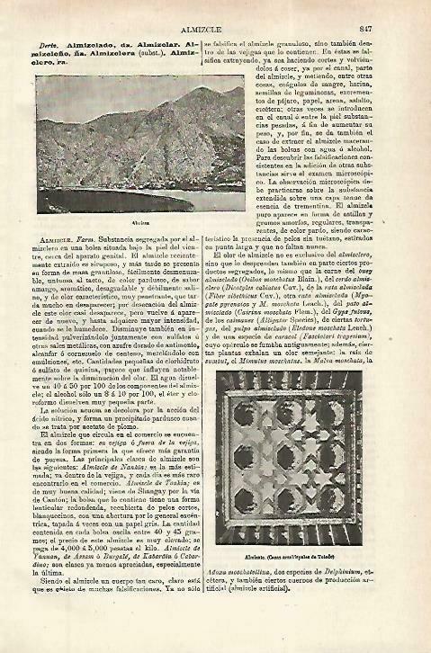 LAMINA ESPASA 33846: Almissa