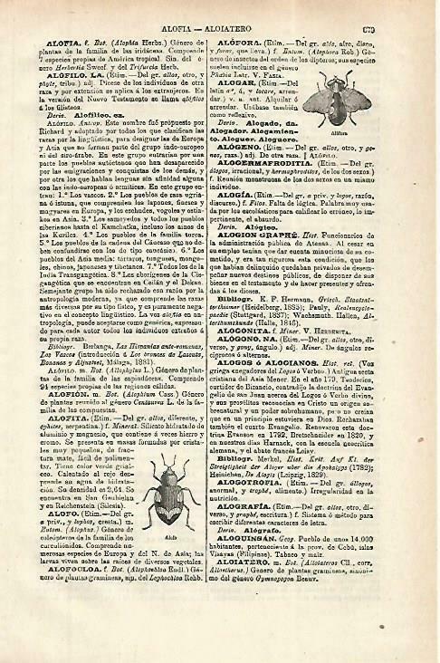 LAMINA ESPASA 33860: Alofora